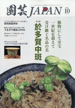 新編野菜園芸ハンドブック 新編 野菜園芸ハンドブック(西貞夫 監修) / 澤口書店 巌松堂ビル
