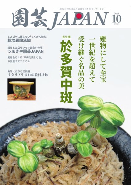 園芸Japan 2025年10月号 (発売日2025年09月12日) 表紙