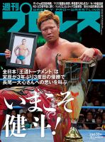 新日本プロレス　雑誌　17冊セット　おまけ付き 新日本プロレス 雑誌 17冊セット おまけ付き 新日本プロレス