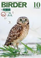 美品【BIRDER 】2023年 2713027_n.jpg