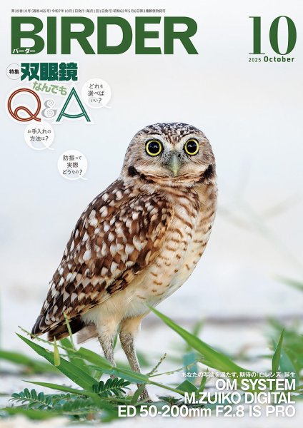 BIRDER（バーダー） 2025年10月号 (発売日2025年09月16日) 表紙