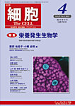 細胞 4月臨時増刊号の表紙