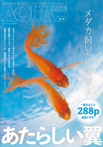 メダカ飼いたい新書 3号 (発売日2022年09月01日) 表紙