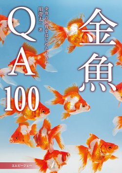 金魚QA100 2025年03月25日発売号 表紙