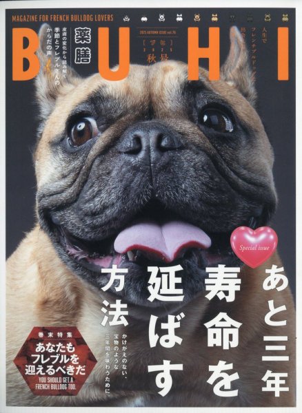 BUHI（ブヒ） 2025年11月号 (発売日2025年09月27日) 表紙