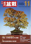月刊 近代盆栽 2025年11月号の表紙