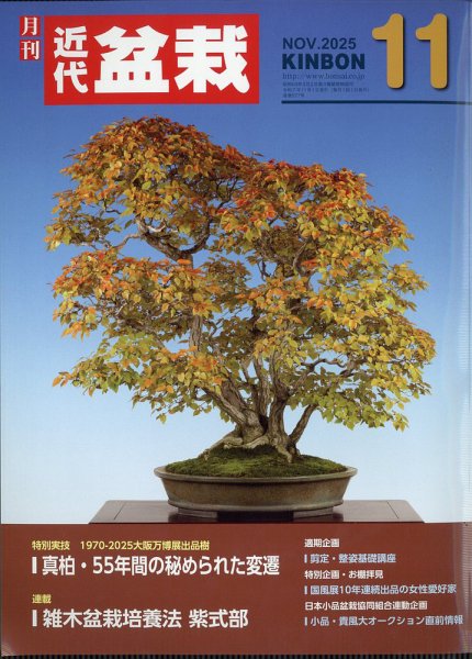 月刊 近代盆栽 2025年11月号 (発売日2025年10月03日) 表紙
