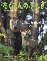 たくさんのふしぎ　2022年～2025年　13冊 セット売り たくさんのふしぎ 2022年～2025年 13冊 セット売り