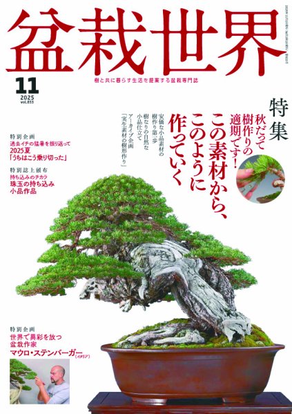 盆栽世界 2025年11月号 (発売日2025年10月06日) 表紙