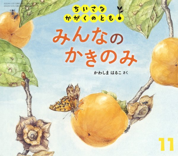 こどものとも　ちいさなかがくのとも　かがくのとも　絶版　希少 ちいさなかがくのとも 2025年11月号 (発売日2025年10月03日) | 雑誌
