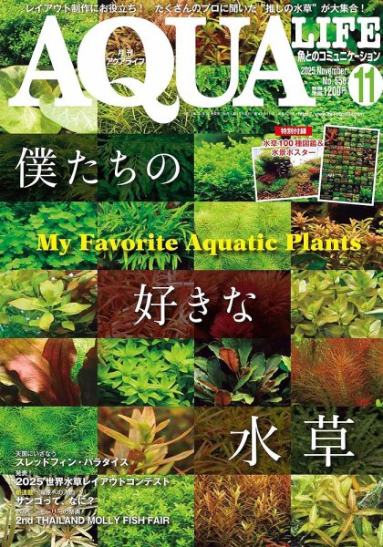 アクアライフ 11月号 (発売日2025年10月10日) 表紙