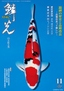 鱗光 2025年10月15日発売号 表紙