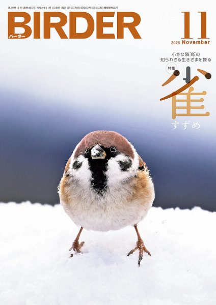 BIRDER（バーダー） 2025年11月号 (発売日2025年10月16日) 表紙