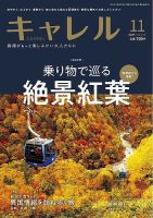 月刊 CARREL（キャレル） 2025年11月号 表紙