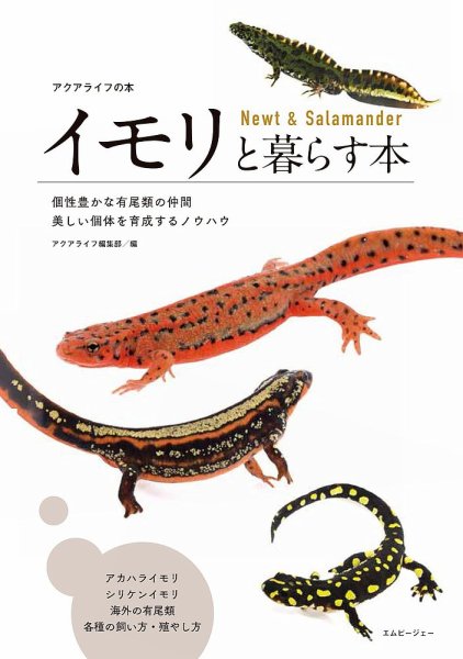 イモリと暮らす本 2025年04月14日発売号 表紙