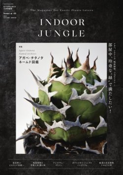 INDOOR JUNGLE No.01 (発売日2023年09月25日) | 雑誌/電子書籍/定期