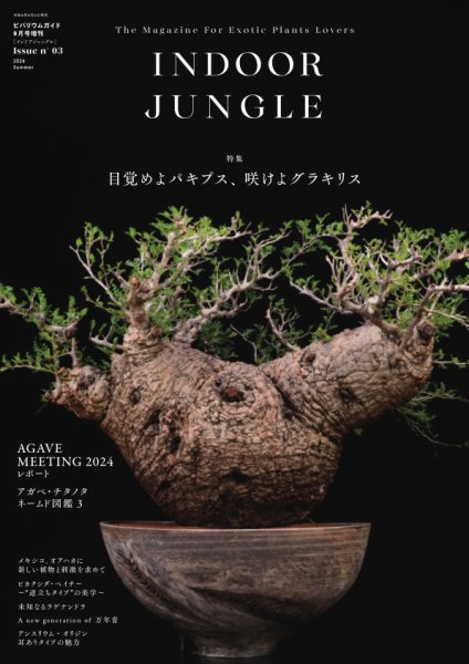 INDOOR JUNGLE No.03 (発売日2024年08月05日) 表紙