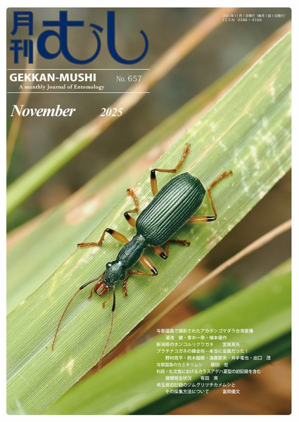 月刊むし 657 (発売日2025年10月23日) 表紙