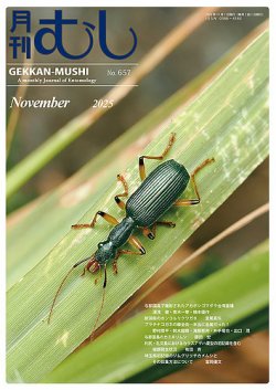 【絶版　希少】 月刊むし　昆虫図説シリーズ10 日本と世界のホシミスジ　蝶々 Amazon.co.jp: 世界のカトカラ (月刊むし・昆虫図説シリ-ズ