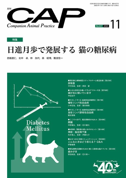 月刊CAP 2025年11月号 (発売日2025年11月01日) 表紙