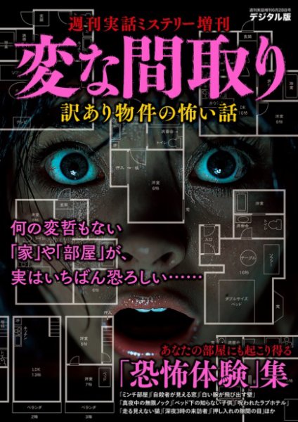 増刊 週刊実話 変な間取り (発売日2025年05月20日) 表紙