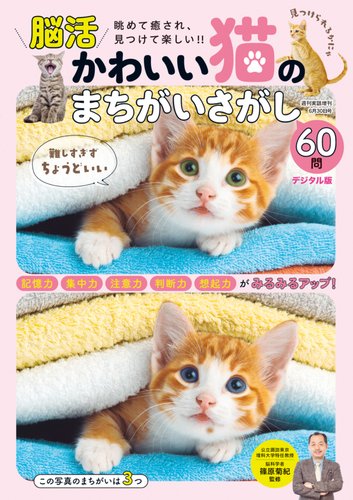 増刊 週刊実話 かわいい猫のまちがいさがし (発売日2025年05月22日