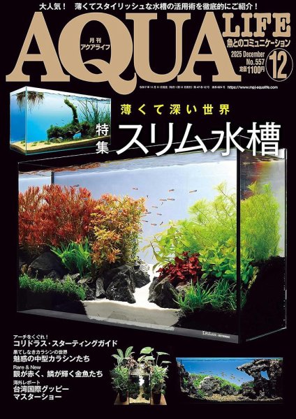 アクアライフ 12月号 (発売日2025年11月11日) 表紙