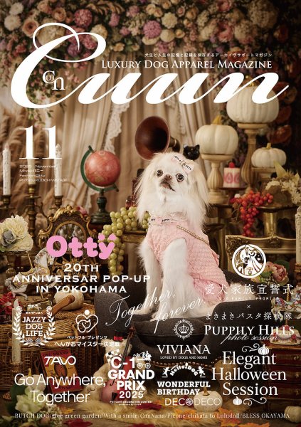 Cuun（クーン） 2025年11月号 (発売日2025年11月10日) 表紙