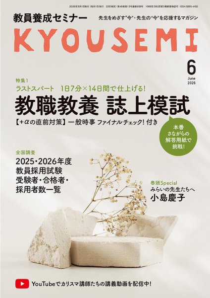☆値下げ中☆フォローアップBOOK 2024付き 日本語教師養成講座 10冊 71bXbLKVKrL._AC_UF350,