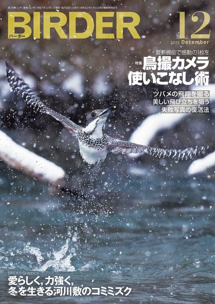 BIRDER（バーダー） 2025年12月号 (発売日2025年11月14日) | 雑誌/電子