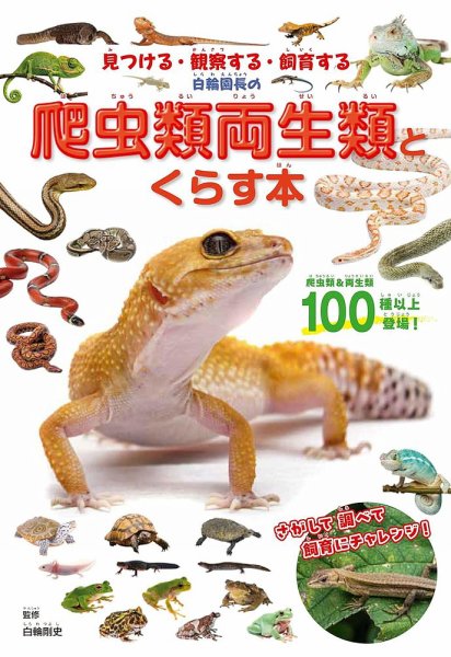 白輪園長の爬虫類両生類とくらす本 2025年04月25日発売号 表紙