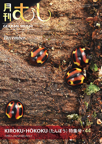 月刊むしの最新号【658 (発売日2025年11月21日)】| 雑誌/定期購読の