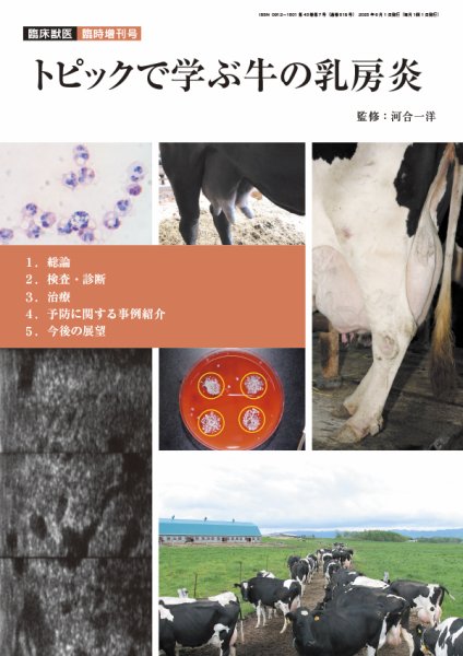 臨床獣医 25年臨時増刊号 (発売日2025年05月31日) 表紙