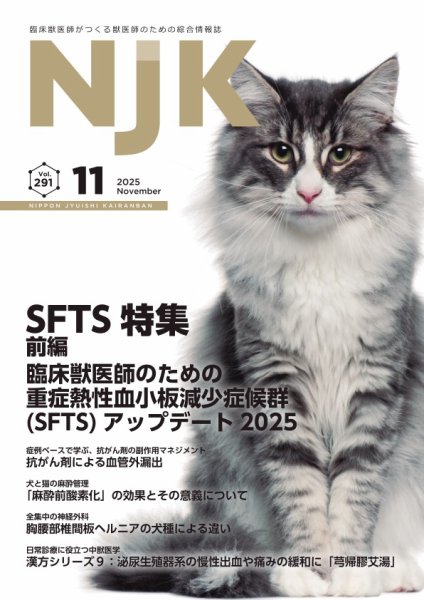 NJK Vol.291 (発売日2025年11月01日) 表紙