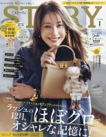 STORY（ストーリィ） 2026年1月号 (発売日2025年12月01日) 表紙