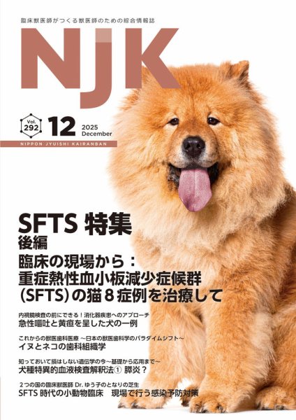 NJK Vol.292 (発売日2025年12月01日) 表紙