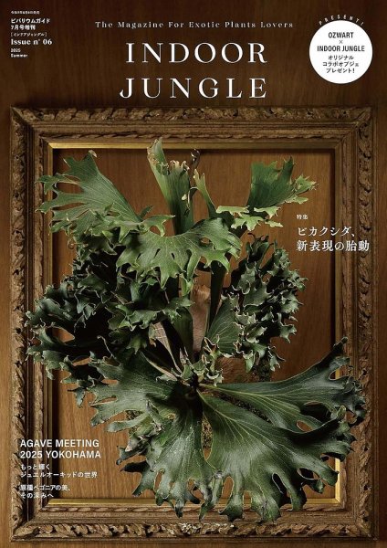 INDOOR JUNGLE No.06 (発売日2025年06月09日) 表紙