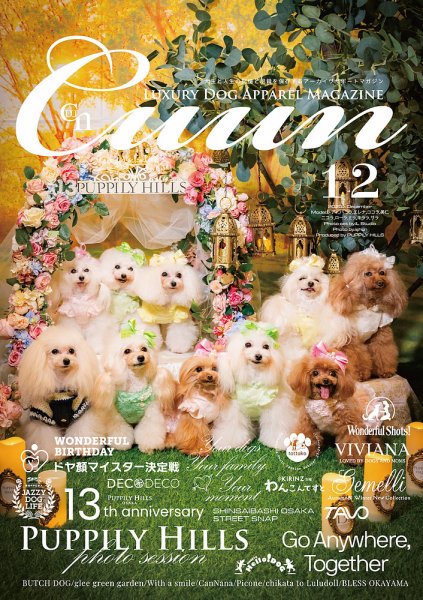 Cuun（クーン） 2025年12月号 (発売日2025年12月10日) 表紙