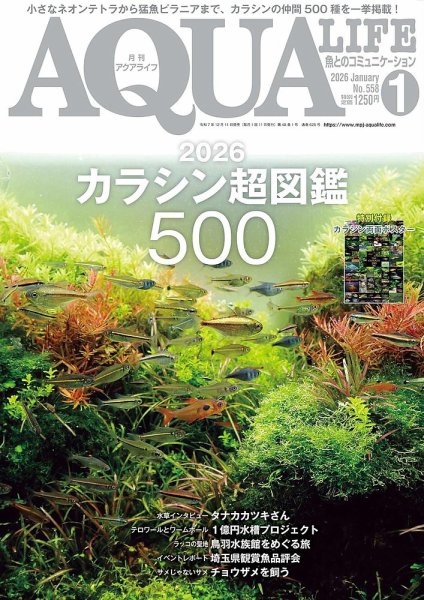 アクアライフ 1月号 (発売日2025年12月11日) 表紙