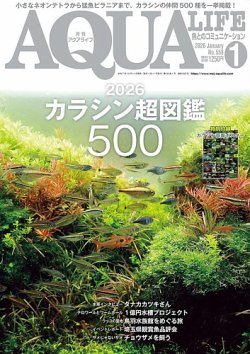 アクアライフ 1月号 (発売日2025年12月11日) 表紙
