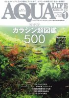 アクアライフ 1月号 表紙