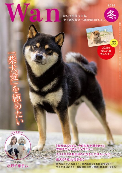wan（わん） 2026年1月号 (発売日2025年12月12日) 表紙