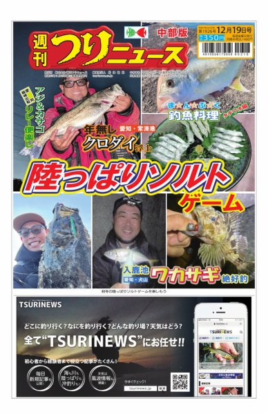 週刊つりニュース　中部版 2025年12月15日発売号 表紙