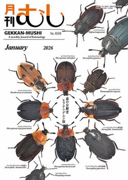 月刊むしの最新号【659 (発売日2025年12月24日)】| 雑誌/定期購読の