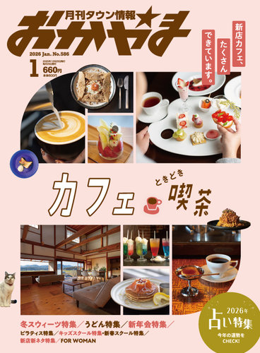 来年度4月計画の福岡分移転のため処分価格】☆DIATONE DP-91D