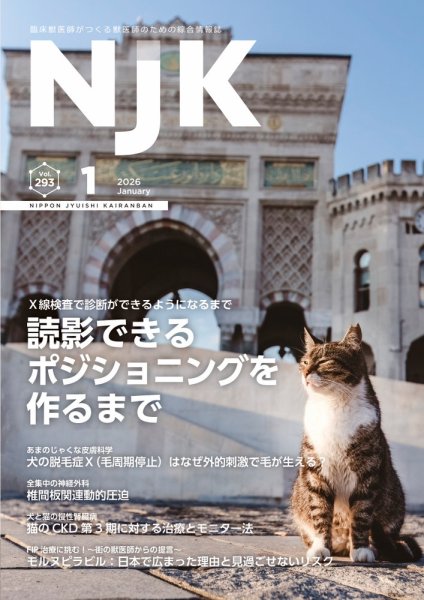 NJK Vol.293 (発売日2026年01月01日) 表紙