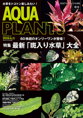 アクアマガジン 37冊 アクアライフ 7月号 (発売日2025年06月11日
