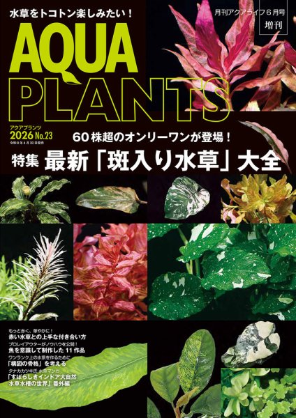 AQUA PLANTS （アクアプランツ）No.02  水草水槽アクアリウム AQUA PLANTS（アクアプランツ）｜定期購読で送料無料