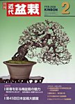 月刊 近代盆栽 2026年2月号の表紙