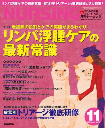 ナーシング Vol.29 No.13 (発売日2009年10月20日) 表紙